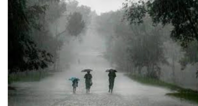 പെരുമഴക്കാലം; 2 ജില്ലകളിൽ ഇന്ന് ഓറഞ്ച് അലർട്ട്