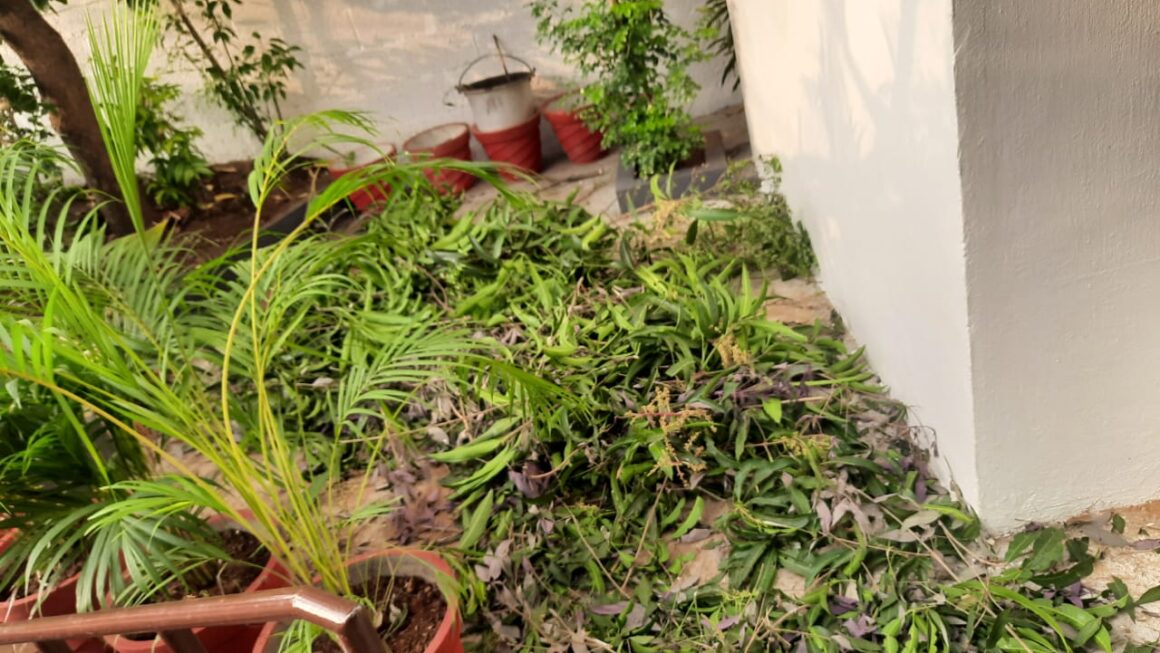 ഇലക്ട്രിസിറ്റിക്കാരുടെ തന്നിഷ്ട്ടം ജനങ്ങൾക്ക്‌ ബുദ്ധിമുട്ടുണ്ടാക്കുന്നു