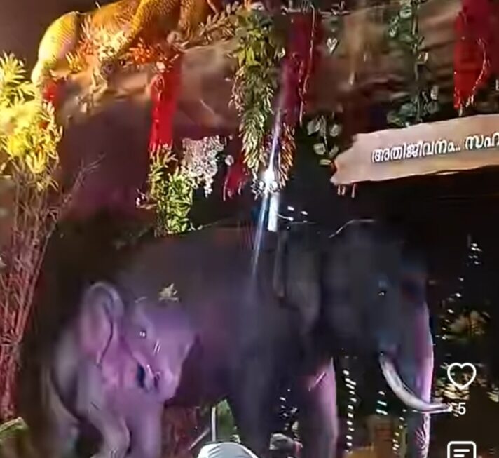സാംസ്കാരിക ഘോഷയാത്ര: വനം വകുപ്പിന് ഒന്നാം സ്ഥാനം